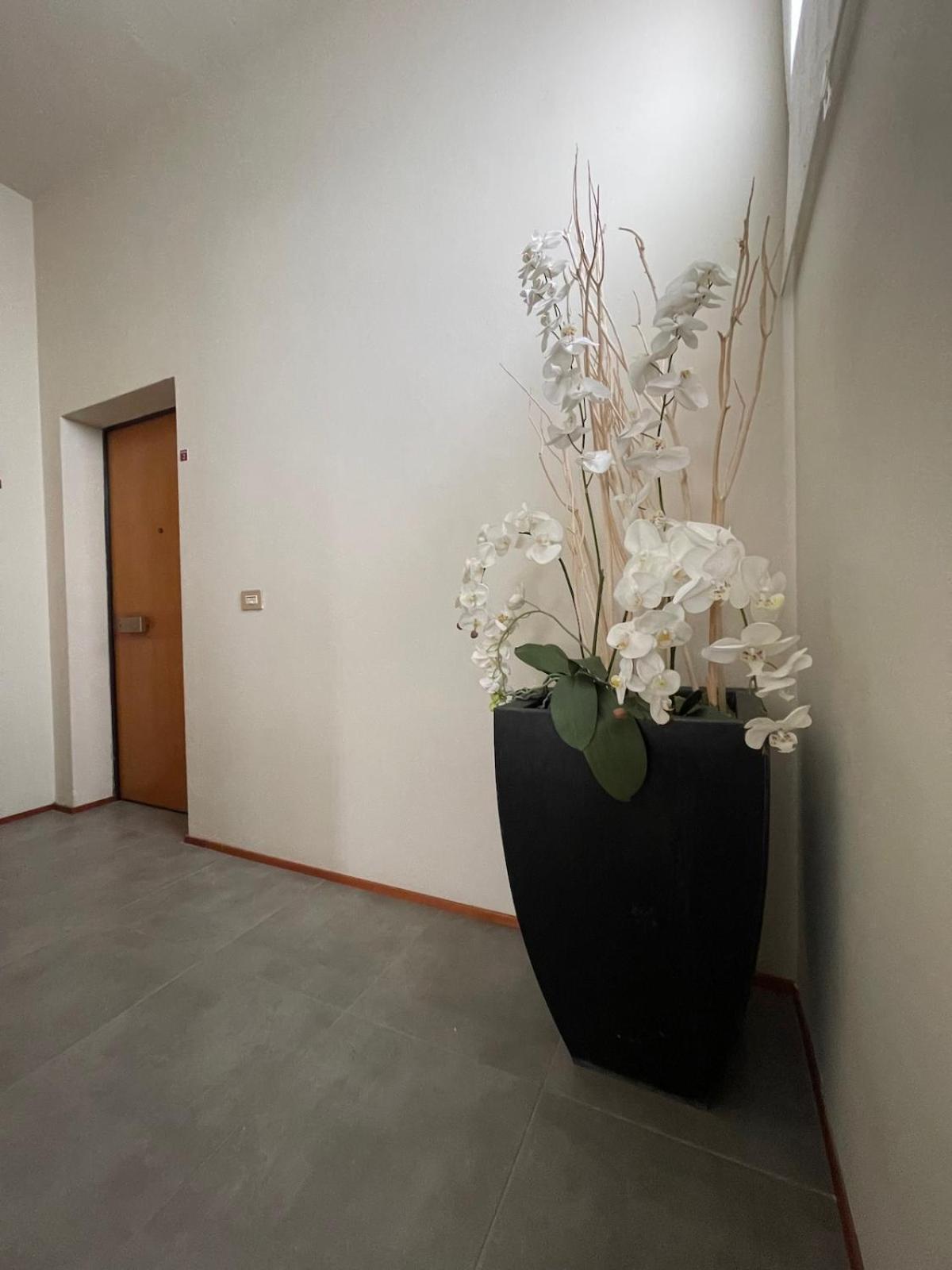 Apartment New Apartment-sotto La Torre